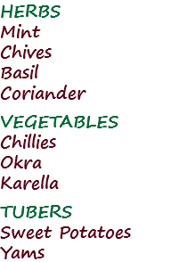 HERBS Mint
Chives
Basil
Coriander VEGETABLES Chillies
Okra
Karella TUBERS
Sweet Potatoes
Yams